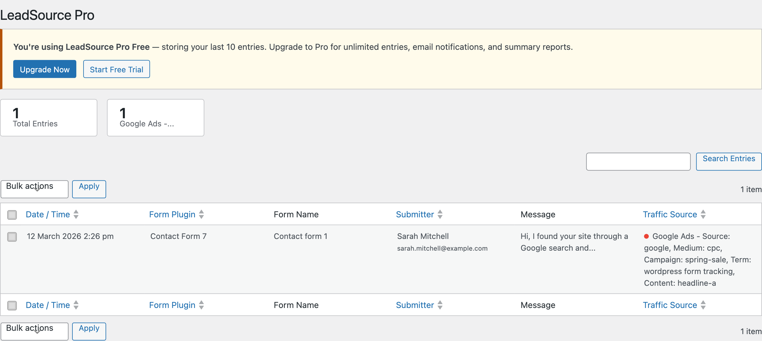 LeadSourcePro dashboard showing form entries with traffic source attribution data including Google Ads source, UTM parameters, and submitter details